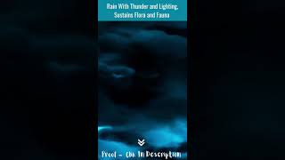 #Shorts - Rain With Thunder and Lightning