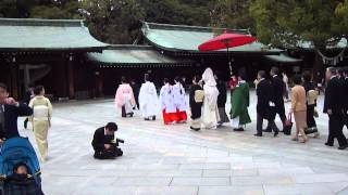 明治神宮 Japanese weeding