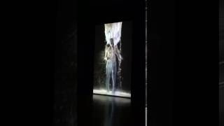 Altro - Bill Viola, Rinascimento elettronico 12