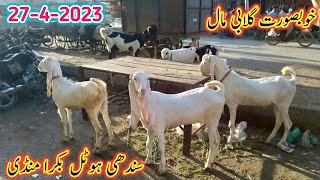 Sindhi Hotel Bakra Mandi Latest Update | 27 April 2023 | Bakra Mandi Today | Bakra Mandi 2023 |