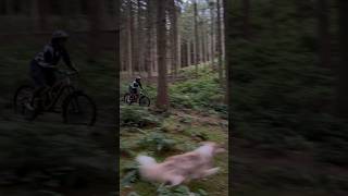 This was a close one! #mountainbike #downhill #cyclinglife #mtb