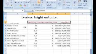 09 Formatting Cells