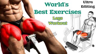 World's Best Exercises LEG WORKOUT Exercises -Thighs, Booty, hamstring,Quadriceps