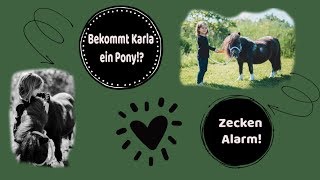 Bekommt Karla ein Pony?!🐴 I Zecken Alarm😱 I Alltagsvlog mit 4 Mädels