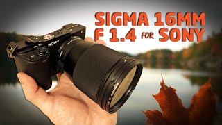 SIGMA 16MM f1.4 lens review (my new favourite lens)