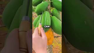 Why This Liquid in Papaya Is So Valuable🤯 #shorts #discovery #nature #knowledge #generalknowledge