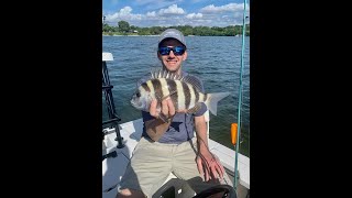 New Garmin + Sheepshead and Jacks Fishing The Flats!