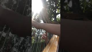 Moon River Wedding Harpist