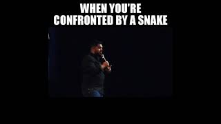 How to identify a dangerous snake- comedy by comedian Masood Boomgaard