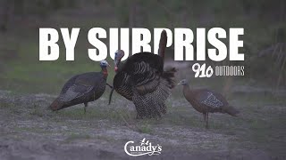 Turkey Hunting - "By Surprise" - 910 Outdoors