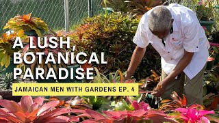 An Exquisite Garden with Award Winning Plants | Jamaican Men With Gardens Ep. 4