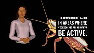 Non-Toxic Cockroach Killers: Safe and Effective Methods for Pest Control presented by an AI Avatar