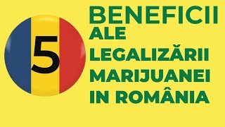 5 Beneficii ale legalizării Marijuanei în România