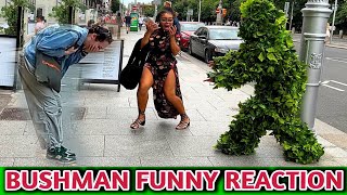 EP-9 कुता माद्री प्रतिकिया 🤣🤣 || Bushman Prank || Best Bushman Reaction || Bushman Prank India ||