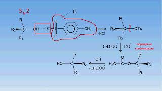 1.3 Нуклеофильное замещение. Стереохимические аспекты