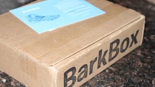 Kumo & Maya : July BarkBox