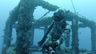 iron reef / 鋼鐵礁 - green island / 綠島 - freedive / 自由潛水