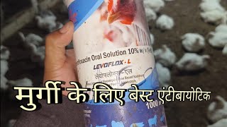 मुर्गी के लिए सबसे बेस्ट एंटीबायोटिक / best antibaotic for poultry