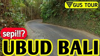 Ubud penestanan bali 2024, POV berkendara di bali