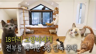 [ENG] 집 하나가 전부 고양이꺼! 세상에 이런 집이? 18냥이는 행복해요ᓚᘏᗢㅣ고꿈집3 with @아리랑은고양이들