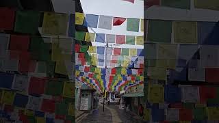 the #lukla road that leads trekking path for #Kumbhu region which has peaks like #Everest #ebctrek