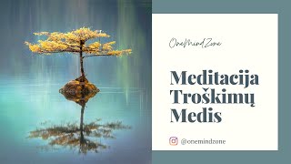 Meditacija Troškimų Medis 10min | OneMindZone | Širdies Čakros Atvėrimas