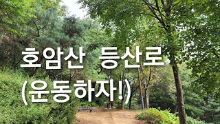 호암산 등산로(운동하자!)