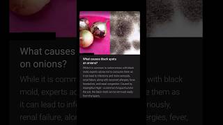 What causes black spots on onions?