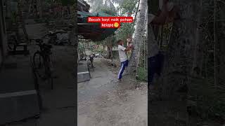 ‼️VIRAL‼️Bayi panjat pohon kelapa😱 #viralvideo #bayiajaib #bayilucu