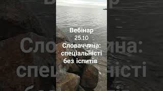 Група вебінару https://t.me/+SLr9f0Xeb0I3MjJi #словаччина #вступ