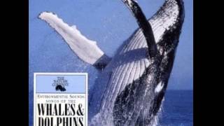 The Nature Company - Killer Whales