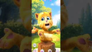 talking ginger so cute #talkingtom #ginger #cute #cuteviralvideo #shortshd #tomcat