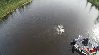 Drone View of Big Pike Strike at Scott Lake Lodge - Northern Saskatchewan Fishing