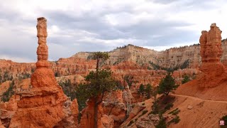 Bryce Canyon Episode 2 Amphitheater, Stunning Scenery in 8K UHD w Ambient & Cinematic Music