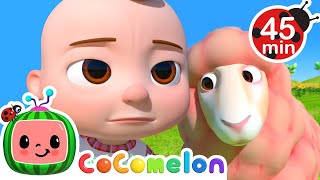 Baa Baa Pink Sheep! 🐑 | Cocomelon 🍉 | Kids Learning Songs! |  Sing Along Nursery Rhymes 🎶