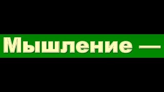 Мышление евреев и славян. Чему учиться?