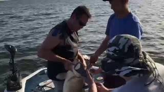 Catching a Monster Fish