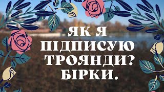 "Ні сортам-незнайомкам у саду!" Показую, як підписую троянди. БІРКИ на кущі. КОРИСНИЙ ЛАЙФХАК.