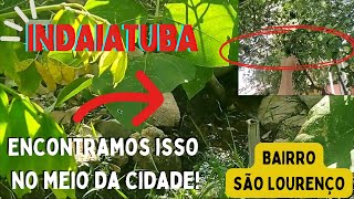 PARQUE DAS FRUTAS INDAIATUBA