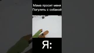 6 мая 2023 г.