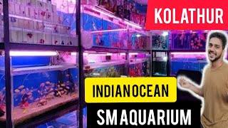 Kolathur fish market Indian Ocean SM Aquarium Shop | வண்ண வண்ண மீன்கள்