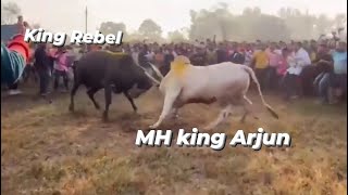 MH king Arjun VS KING REBEL