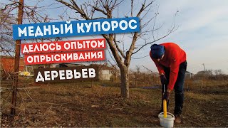 Медный купорос - обработка сада весной / дом в деревне