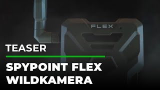 Produktteaser: Die Spypoint Flex Wildkamera  | GRUBE.DE