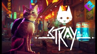 Stray Part 3-5