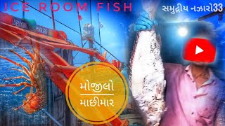 ice room fishing boat🦐🦞[બોટ મા બરફ રૂમમાં મચ્છી ની ગોઠવણી ]🐟⚓️||#fishing