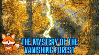 The Vanishing Forest  An Enchanting Mystery