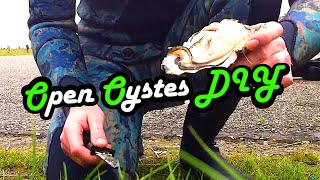 Cooking - How to open Oysters