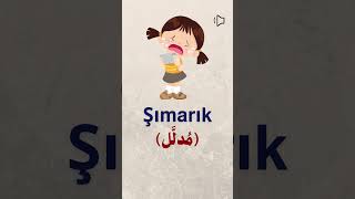 اللغة التركية للمبتدئين 🇹🇷 | مُدلَّل 😵‍💫