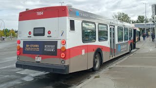 Calgary Transit 2003 New Flyer D40LF #7854 on Route 41 Lynnwood